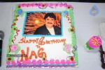 Nagarjuna Birthday Celebrations Stills - 30 of 72