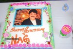 Nagarjuna Birthday Celebrations Stills - 39 of 72