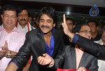 Nagarjuna Launches Kalyan Jewellers - 15 of 98