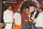 Nagavalli Movie Double Platinum Disc Function - 30 of 112