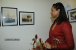 Namrata Shirodkar Inaugurates Kalakrithi Art Gallery At Banjara Hills - 28 of 32