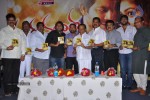 Nanda Nanditha Movie Audio Launch - 1 of 20