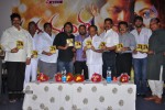 Nanda Nanditha Movie Audio Launch - 3 of 20