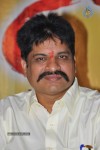 Nanda Nanditha Movie Audio Launch - 11 of 20