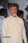 Nandamuri Family Celebrates Simha Movie Success - 38 of 57