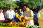 Nandamuri Family Members pays Tributes to Sr NTR  - 30 of 58