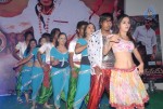 Nandiswarudu Movie Audio Launch  - 9 of 64