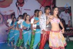 Nandiswarudu Movie Audio Launch  - 72 of 64