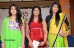 Nani Bujji Bangaram Movie Audio Launch - 11 of 71