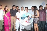 Nankam Pirai Tamil Movie Audio Launch - 29 of 47