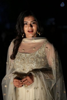 Nanna Nenu Na Boyfriends Audio Launch 1 - 2 of 74
