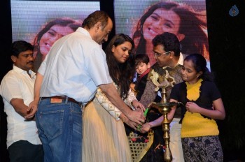 Nanna Nenu Na Boyfriends Audio Launch 1 - 7 of 74