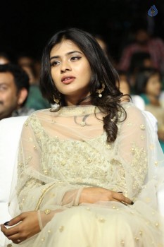 Nanna Nenu Na Boyfriends Audio Launch 1 - 13 of 74