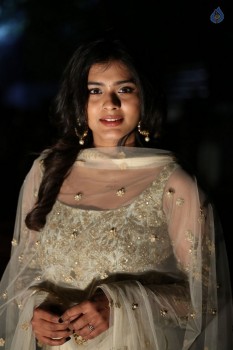 Nanna Nenu Na Boyfriends Audio Launch 1 - 16 of 74