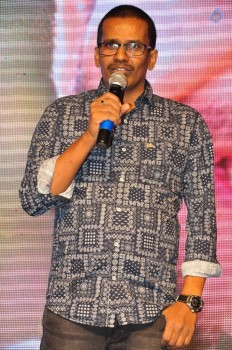 Nanna Nenu Na Boyfriends Audio Launch 1 - 43 of 74
