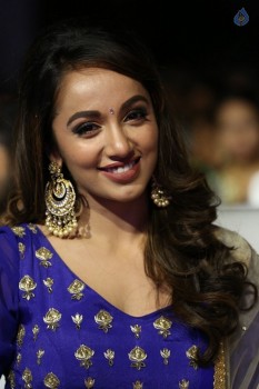 Nanna Nenu Na Boyfriends Audio Launch 1 - 44 of 74