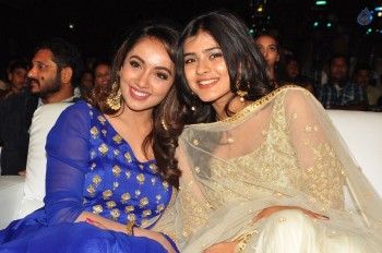 Nanna Nenu Na Boyfriends Audio Launch 1 - 54 of 74