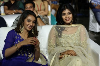Nanna Nenu Na Boyfriends Audio Launch 1 - 59 of 74