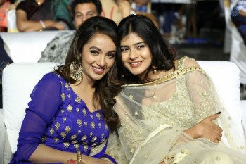 Nanna Nenu Na Boyfriends Audio Launch 1 - 62 of 74
