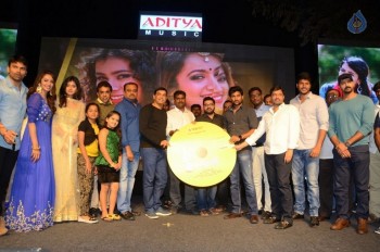 Nanna Nenu Na Boyfriends Audio Launch 2 - 50 of 100