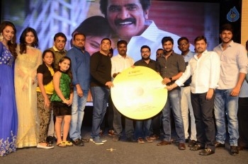 Nanna Nenu Na Boyfriends Audio Launch 2 - 24 of 100