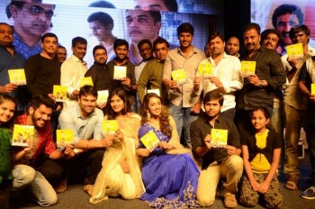 Nanna Nenu Na Boyfriends Audio Launch 2 - 86 of 100
