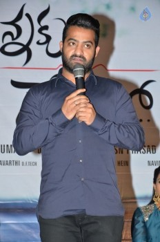 Nannaku Prematho Title Song Launch - 27 of 97
