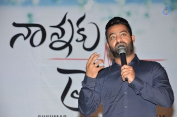 Nannaku Prematho Title Song Launch - 84 of 97
