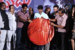 Natudu Movie Audio Launch - 90 of 152