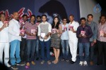 Natudu Movie Audio Launch - 111 of 152