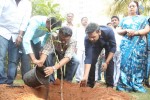 Nawin Vijay Krishna Bday Celebrations  - 128 of 187
