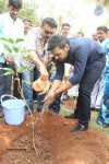 Nawin Vijay Krishna Bday Celebrations  - 147 of 187