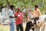 Neelaveni Movie Working Stills - 9 of 27