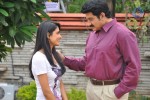 Neeli Kallu Movie Opening - 55 of 77