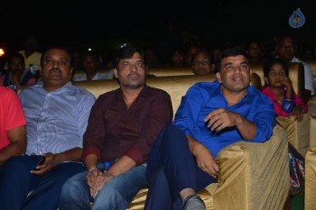 Nenu Local Audio Launch 1 - 27 of 49