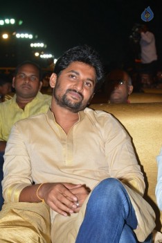 Nenu Local Audio Launch 2 - 3 of 84