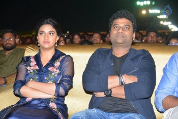 Nenu Local Audio Launch 2 - 4 of 84