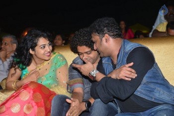 Nenu Local Audio Launch 2 - 49 of 84