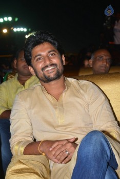 Nenu Local Audio Launch 2 - 51 of 84