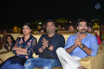 Nenu Local Audio Launch 2 - 31 of 84