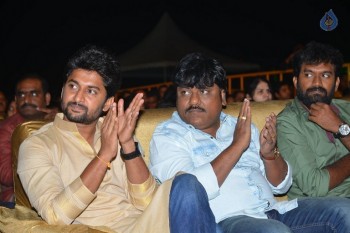 Nenu Local Audio Launch 2 - 58 of 84