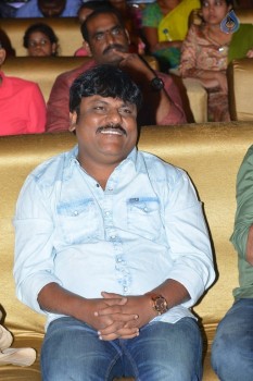 Nenu Local Audio Launch 3 - 49 of 126