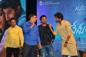 Nenu Local Audio Launch 3 - 123 of 126