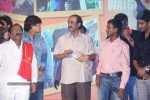 Nenu Naa Friends Audio Launch - 2 of 107