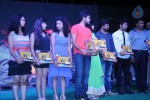 Nenu Naa Friends Platinum Disc Event - 9 of 13