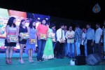 Nenu Naa Friends Platinum Disc Event - 12 of 13