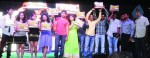 Nenu Naa Friends Platinum Disc Event - 13 of 13