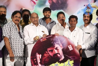 Nenu Naa Nagarjuna Movie Audio Launch Photos - 14 of 21