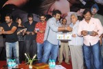 Nenu Naa Rakshasi Movie Audio Launch 01 - 66 of 152