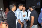 Nenu Naa Rakshasi Movie Audio Launch 01 - 98 of 152